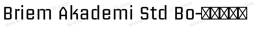 Briem Akademi Std Bo字体转换